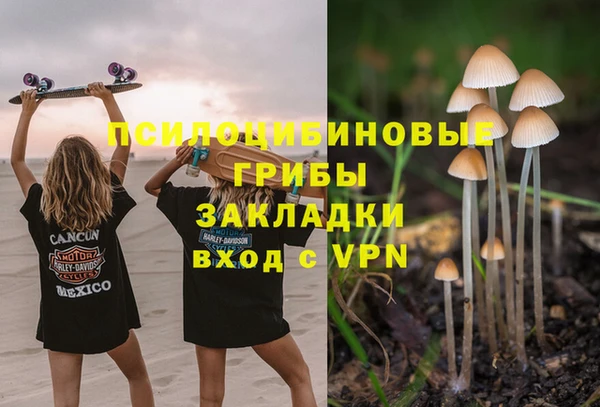 хмурый Надым