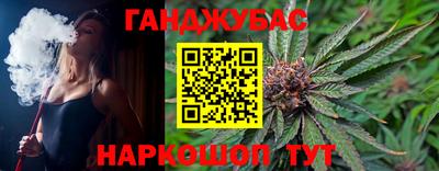 крисы Бийск