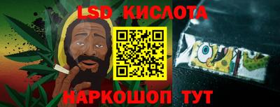 стаф Берёзовский